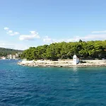 Nevista *