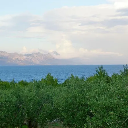 Nevista